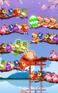 鳥の分類: バードソートパズル Screen Shot 14