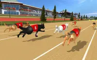 Dog real Racing  Derby Tournament: Dog Race Game Screen Shot 2