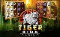Slots Tiger King Casino Slots Screen Shot 9