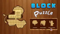 Q Block Puzzle - Wood Puzzle Screen Shot 6
