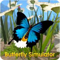 Butterfly Simulator