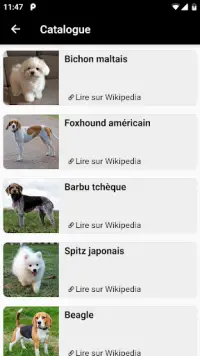 Races de chiens - Photo Quiz Screen Shot 3
