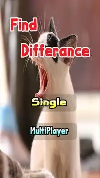 Find the Difference Picture Puzzle Games Screen Shot 0