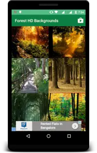 Forest HD Backgrounds Screen Shot 1