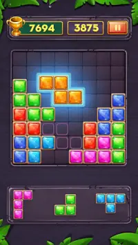 Block Puzzle - Funny Brain Free Game Screen Shot 0