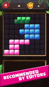Block Puzzle Bricks Screen Shot 3