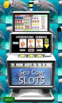 3D Sea Cow Slots - Free Screen Shot 0