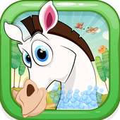 Horse Spa and Dressup