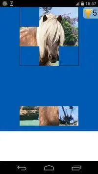 horse puzzles game Screen Shot 2