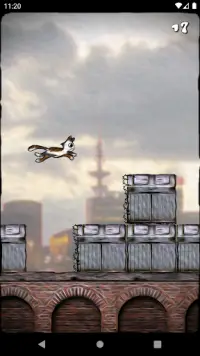 Jumping Cat Screen Shot 1