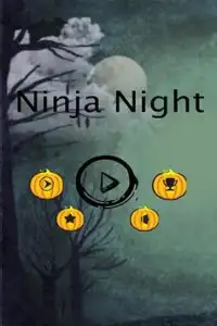 Ninja Night Screen Shot 0