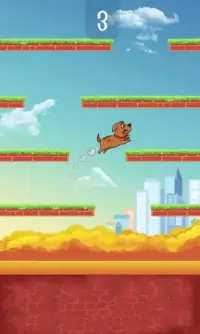 Pets in the city - Happy jump Screen Shot 2