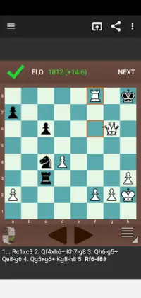 Fun Chess Puzzles Screen Shot 1