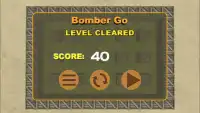 Bomber Go Screen Shot 4