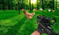 Chicken Shoot : 3D sniper Murgi Shooter Screen Shot 1