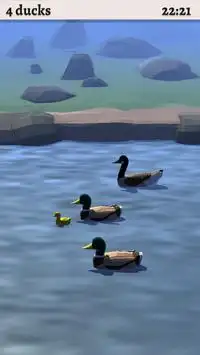 99 Ducks Screen Shot 1