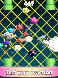Cool Birds Game for Kids Screen Shot 4