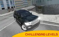 Land Cruiser Race : Real Offroad Rally Driving Sim Screen Shot 2