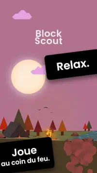 Block Scout - Empile et Relax Screen Shot 6