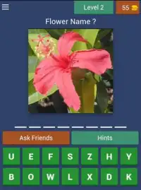 Guess Flowers Trivia Screen Shot 12