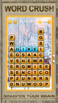 Word Crush - Fun Puzzle Game Screen Shot 14