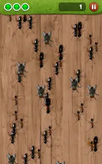 Ant Smasher by Best Cool & Fun Games Screen Shot 10