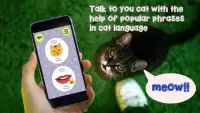 Cat Language Translator Simulator Screen Shot 0
