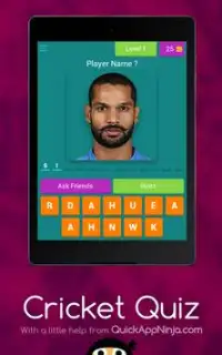 Cricket Challange Screen Shot 14