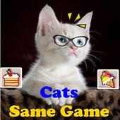 The Same Game Cute Cats
