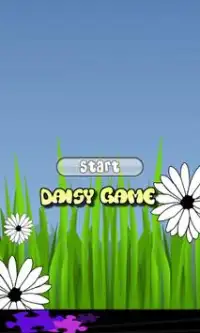 Daisy Game Screen Shot 0