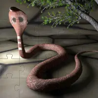 Cobra Jigsaw Puzzles 🧩🐍️🧩🐍🧩 Screen Shot 3