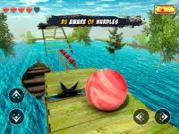 Balance Ball Extreme 3D Screen Shot 9