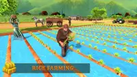 Primitive Farming Machine - Harvesting Rice Screen Shot 6