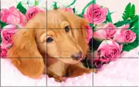 강아지 - 퍼즐 Screen Shot 7