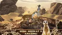 Meerkat Simulator - Wild African Life Game Screen Shot 0