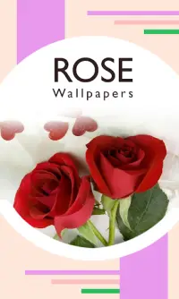 Rose Wallpapers Screen Shot 0