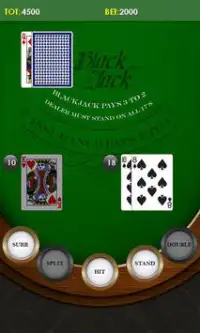 Blackjack Lite Screen Shot 3
