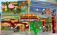 Block Mortal Survival Battle Screen Shot 9