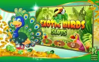 Exotic Birds Slots Screen Shot 12