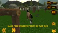 Wut wild Pferd Simulator 3D Screen Shot 7