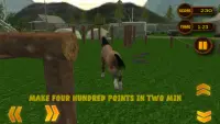 lakas ligaw horse simulator 3D Screen Shot 7