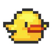 Tappy Duck