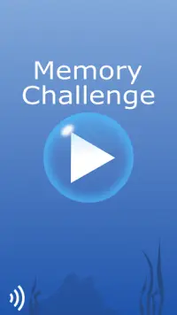 Memory Challenge Screen Shot 1