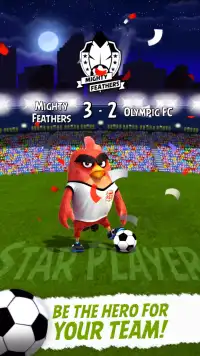 Angry Birds Football Screen Shot 10