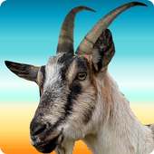 Angry Goat Real Simulator 3D