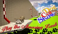 Dog Cat Stunts Simulator Screen Shot 4