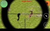 Safari Animals Rangers Sniper Screen Shot 0