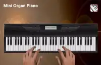 Mini Orgue Piano Screen Shot 0