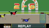 Dog Racing Screen Shot 17