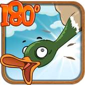 Duck Hunting 180°
